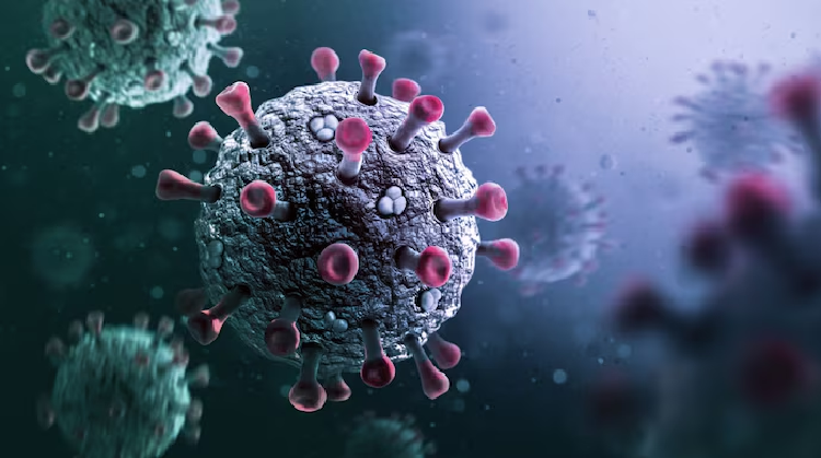 ಸಿಂಗಾಪುರ-ಹಾಂಕಾಂಗ್​ನಲ್ಲಿ ಕೋವಿಡ್ ಹೆಚ್ಚಳ: ಭಾರತದಲ್ಲೂ 257 ಪ್ರಕರಣಗಳು ಪತ್ತೆ