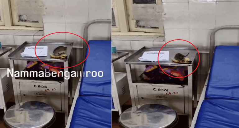 ವಿಕ್ಟೋರಿಯಾ ಆಸ್ಪತ್ರೆಯಲ್ಲಿ ಇಲಿಗಳ ಕಾಟ; ಬಾಳೆಹಣ್ಣು ತಿನ್ನುವ ವಿಡಿಯೋ ವೈರಲ್