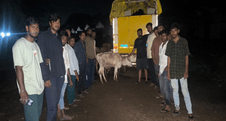 ಅಕ್ರಮವಾಗಿ ಕಸಾಯಿಖಾನೆಗೆ ಸಾಗಿಸುತ್ತಿದ್ದ 36 ಹಸುಗಳ ರಕ್ಷಣೆ