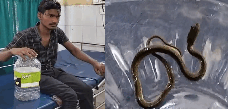 ಹಾವು ಕಚ್ಚಿದರು, ವಿಚಲಿತನಾಗದೆ ಹಾವನ್ನು ಹಿಡಿದುಕೊಂಡು ಆಸ್ಪತ್ರೆಗೆ ಬಂದ ಭೂಪ: ವೈದ್ಯರು ಶಾಕ್​