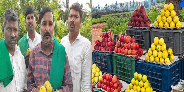 ಪಾಪಿ ಪಾಕಿಸ್ತಾನ ಮತ್ತು ಮಿತ್ರ ರಾಷ್ಟ್ರಗಳಿಗೆ ಹಣ್ಣು ಕಳಿಸೋದಿಲ್ಲ: ರೈತರಿಂದ ದಿಟ್ಟ ನಿರ್ಧಾರ