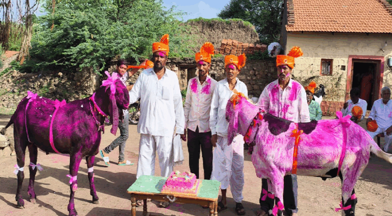 ಬಕ್ರೀದ್​ ಸಂಭ್ರಮ; 5 ಲಕ್ಷ ಮೊತ್ತಕ್ಕೆ ಮೇಕೆ ಮಾರಾಟ ಮಾಡಿದ ರೈತ ಫುಲ್​ ಖುಷ್​