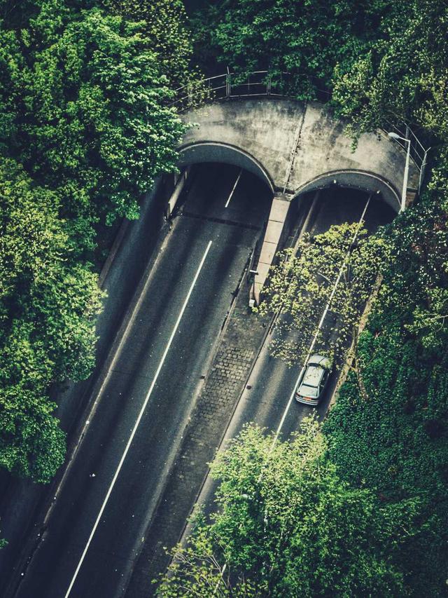 BTS Jungkook Solo Tour 2026: ಅಭಿಮಾನಿಗಳ ಸಂಭ್ರಮ