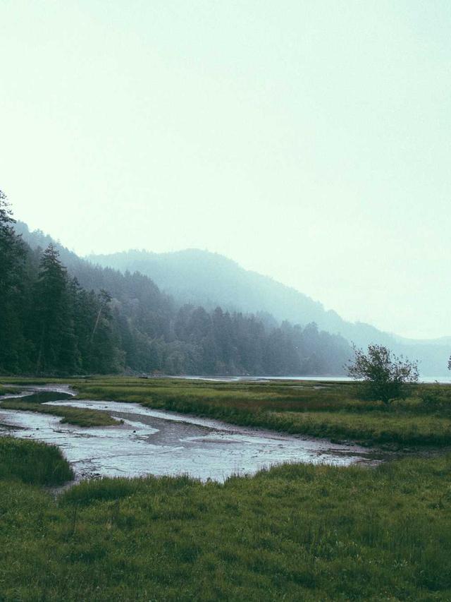 Met Gala 2026: ಹಾಲಿವುಡ್ ಫ್ಯಾಷನ್ ಫೀಸ್ಟ್